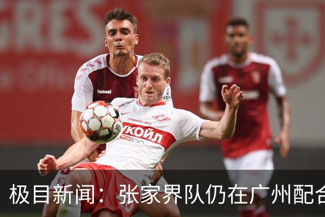 极目新闻：张家界队仍在广州配合调查，警方和多个主管部门已介入